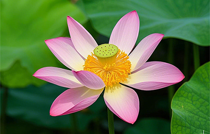 学习摄影要知道哪些问题？沈阳摄影学校